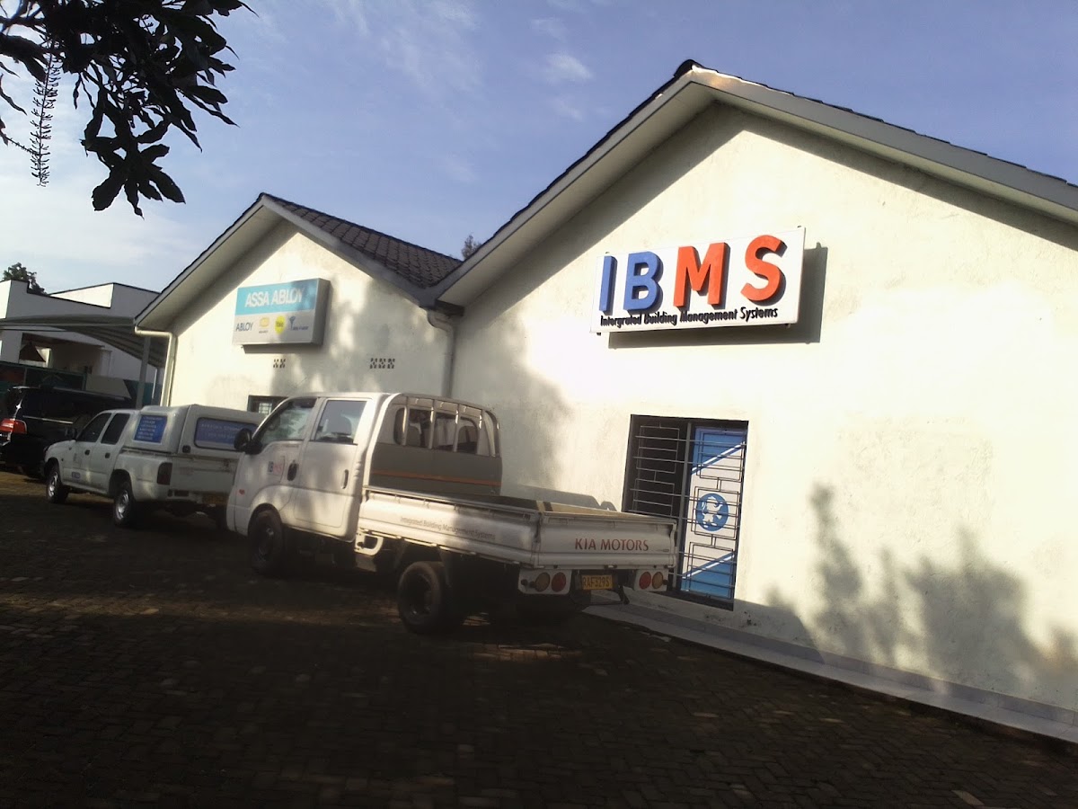 IBMS