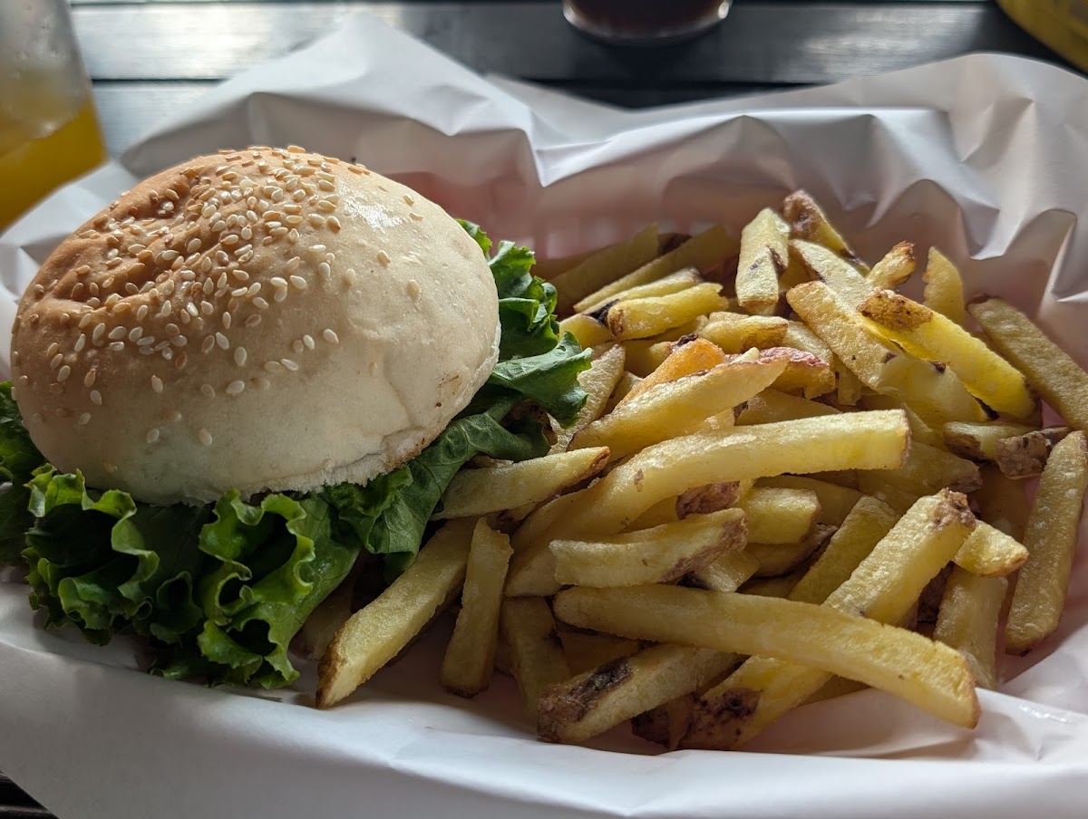 Photo of Mr Chips by Jackson Duvert
